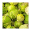 Mountain Valley Seed Co Grande Rio Verde Tomatillo Seeds 1 Oz ~10,000 Seeds | Non-GMO - Heirloom - Productive Green