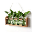 Plant Propagation Stations Halloween Skull Plant Terrarium Kit