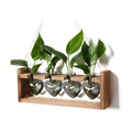 Plant Propagation Stations Heart Plant Terrarium Kit | Gift for Women Plant Lover Glass Vases