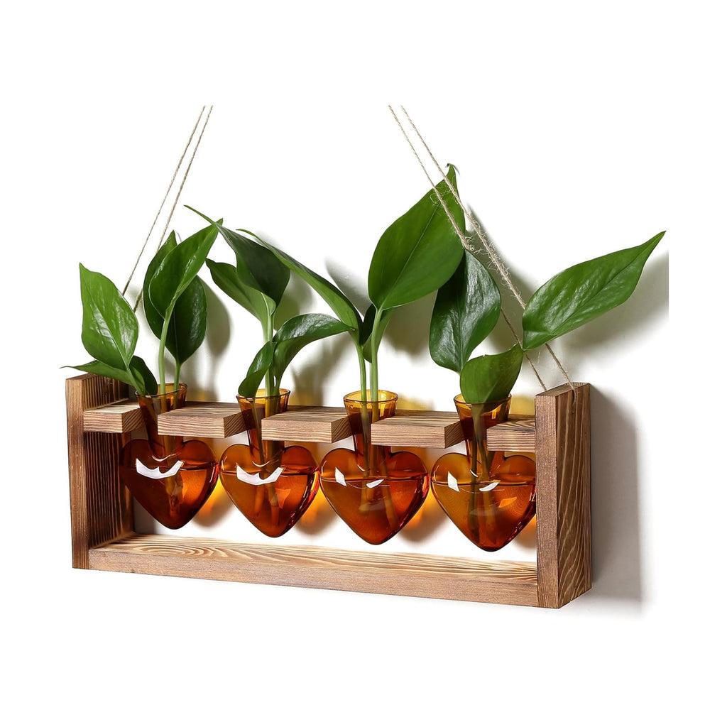 Plant Propagation Stations Heart Plant Terrarium Kit | Gift for Women Plant Lover Glass Vases