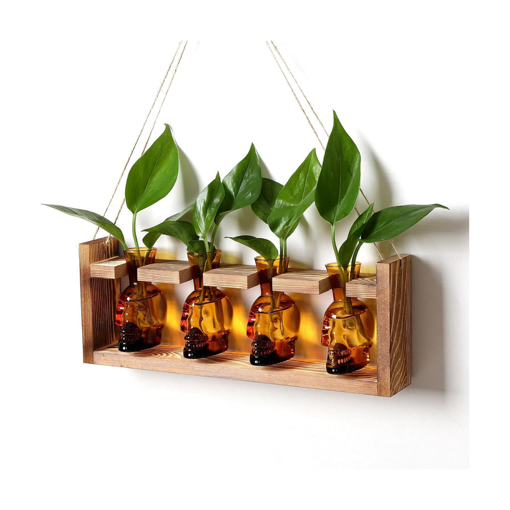 Plant Propagation Stations Halloween Skull Plant Terrarium Kit | Glass Vases Gift for Father Air Planter Home Office