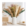 RAINFLOW 35PCS Dried Pampas Grass Decor - 7 Varieties Small Dried Flower