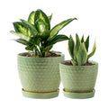 Plant Pots, Flower Pots, Planters for Indoor Plants(6.5+5.5inch), Flower Pots for Indoor Plant with Drainage Hole and