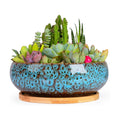 ARTKETTY Succulent Pots, 7.5 Inch Large Plant Pots with Bamboo Tray | Shallow Bonsai Pots with Drainage, Ceramic