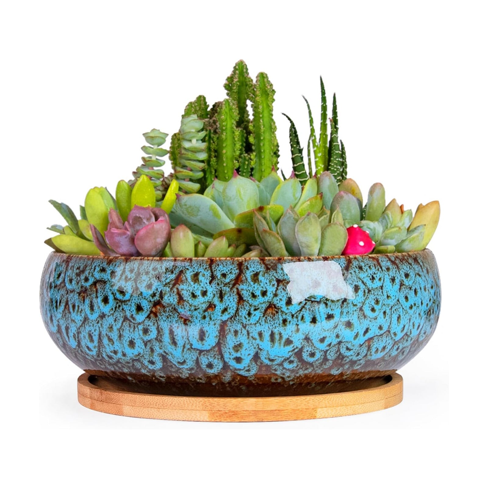 ARTKETTY Succulent Pots, 7.5 Inch Large Plant Pots with Bamboo Tray | Shallow Bonsai Pots with Drainage, Ceramic