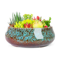 ARTKETTY Succulent Pots, 8 Inch Plant Pots Large Bonsai Pots with Drainage | Ceramic Shallow Planters for Indoor