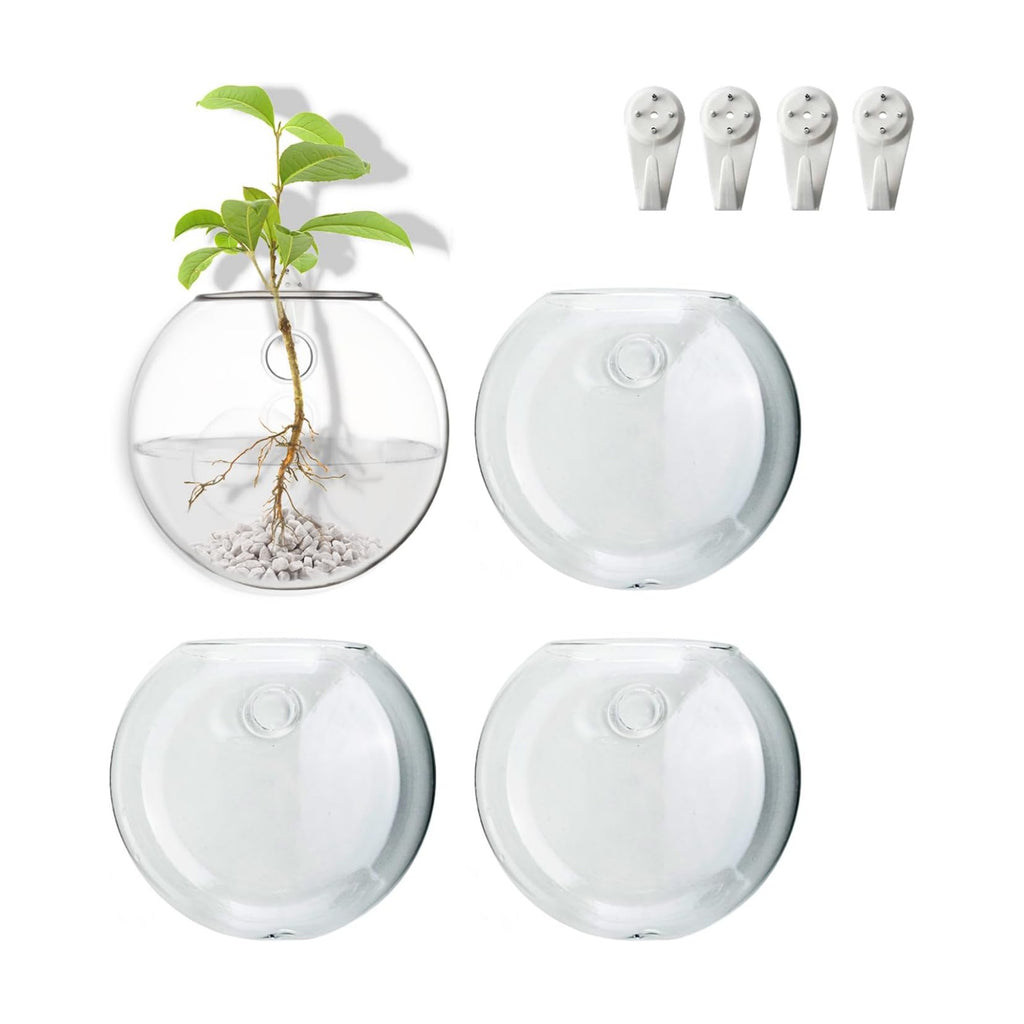 Wall Mount Plant Propagation Station - Clear Hydroponic Glass Vase, Oblate Planter for Indoor Plants | Perfect for Home, Office, Bathroom Decor | Gift for Plant Lovers (4)