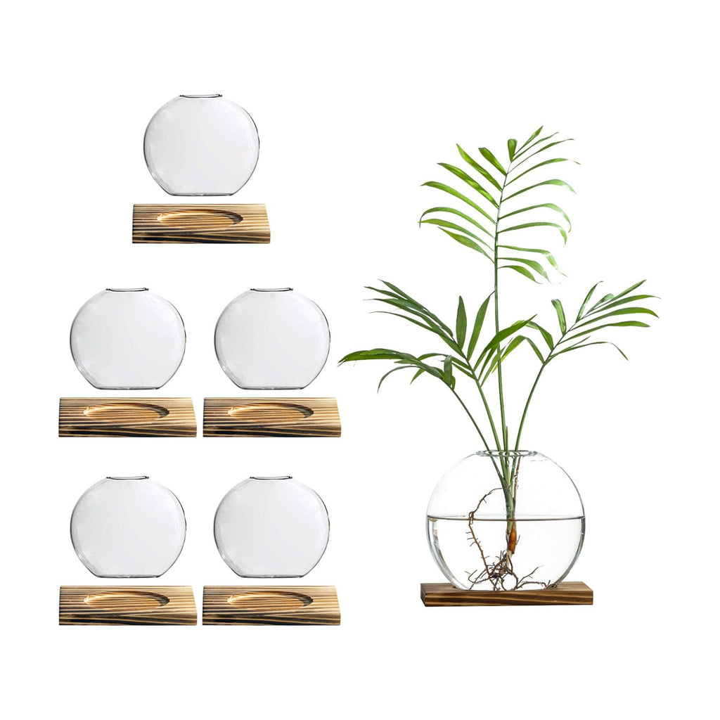 Glass Planter Propagation Station with Wooden Base - Clear Oblate Hydroponic Vase, Decorative Desktop Flower Vase for