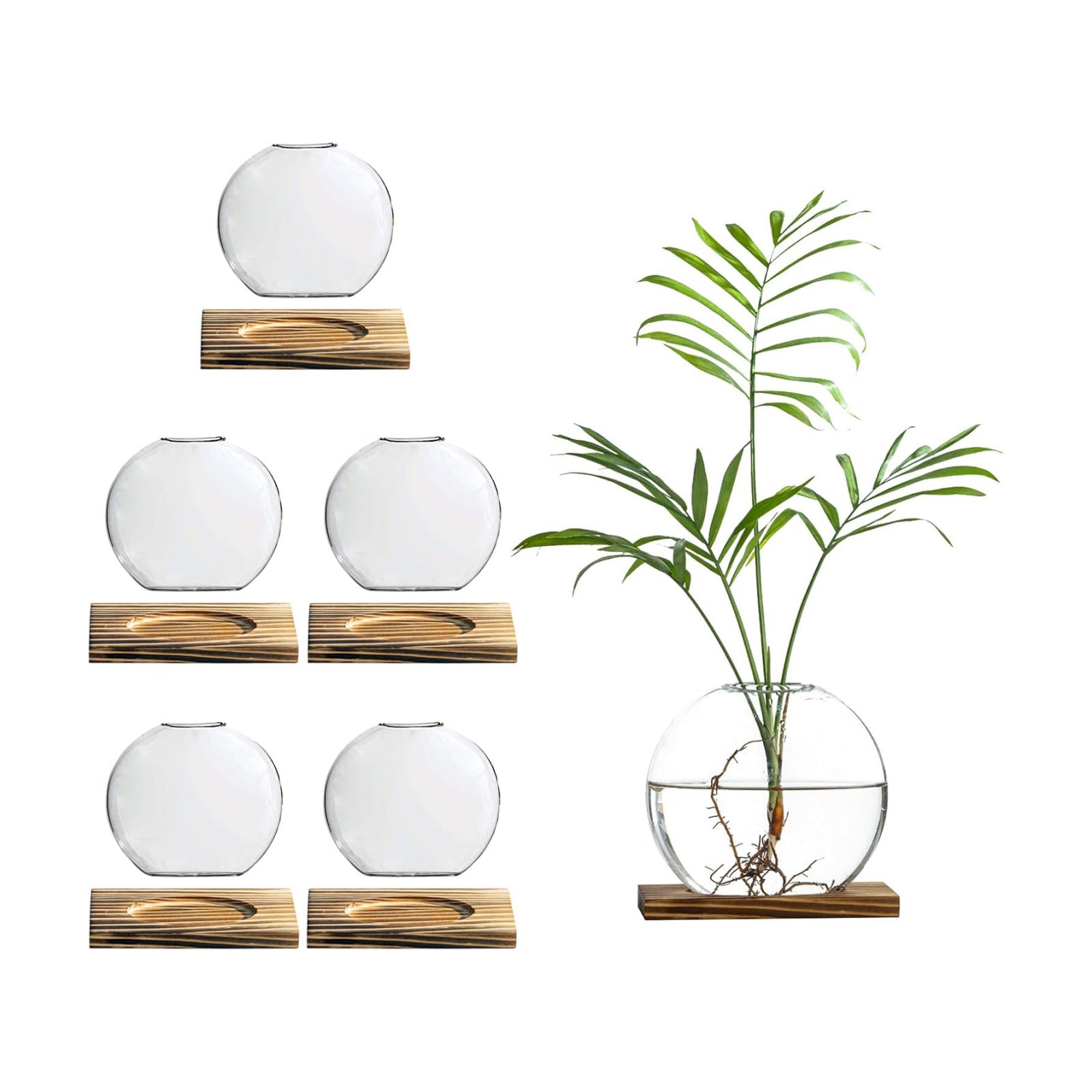 Glass Planter Propagation Station with Wooden Base - Clear Oblate Hydroponic Vase, Decorative Desktop Flower Vase for