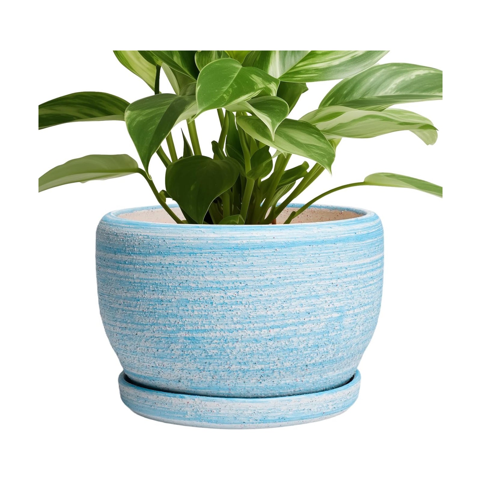 SQOWL Ceramic Planter - 8 inch Pot for Plants Indoor Outdoor, Modern Ceramic Flower Pot with Drainage Hole and Saucer