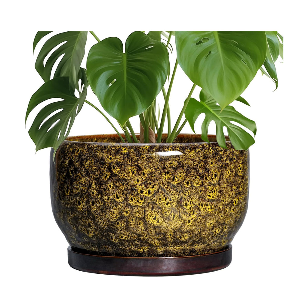 SQOWL 10 Inch Plant Pot - Ceramic Flower Pots with Drainage Hole and Saucer, Ceramic Planter for Indoor Plants Outdoor