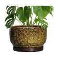 SQOWL 10 Inch Plant Pot - Ceramic Flower Pots with Drainage Hole and Saucer, Ceramic Planter for Indoor Plants Outdoor