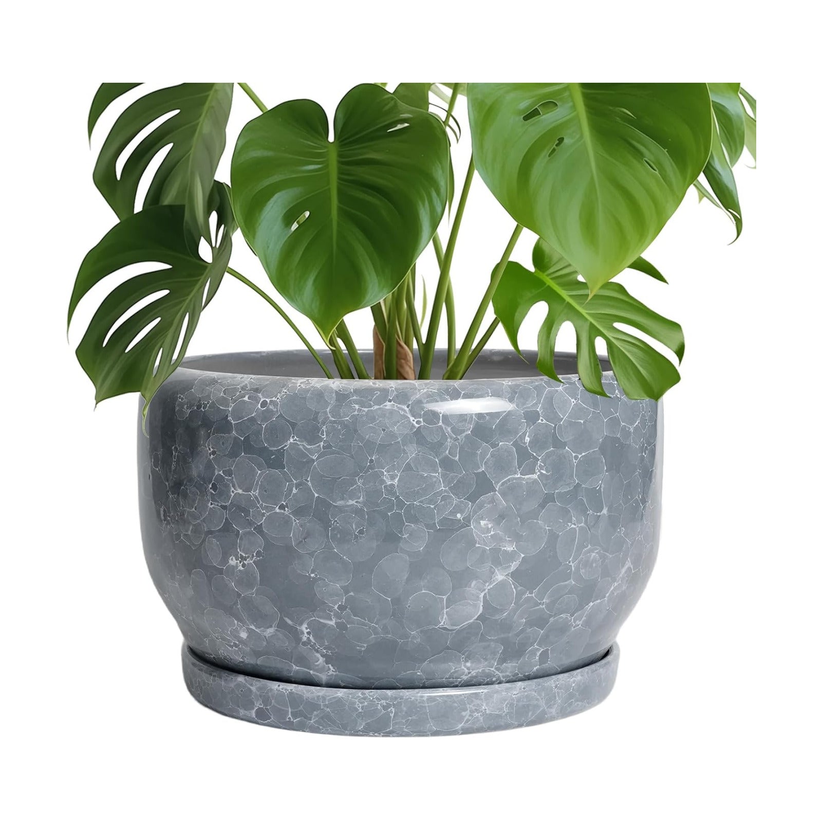 SQOWL Ceramic Pot for Plants - 10 Inch Plant Pot Indoor with Drainage Hole and Saucer, Round Ceramic Planter