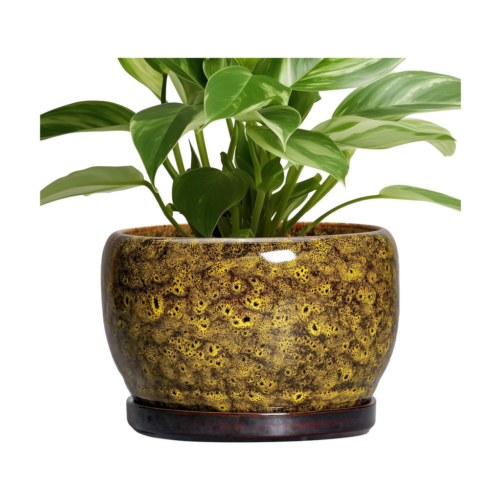SQOWL Ceramic Flower Pots - 8 inch Ceramic Planter for Indoor Plants, Decorative Plant Pots with Drainage Hole and