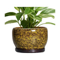 SQOWL Ceramic Flower Pots - 8 inch Ceramic Planter for Indoor Plants, Decorative Plant Pots with Drainage Hole and