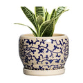SQOWL Ceramic Flower Pots - 6 Inch Plant Pot Indoor with Drainage Hole and Saucer, Porcelain Ceramic Planter Outdoor