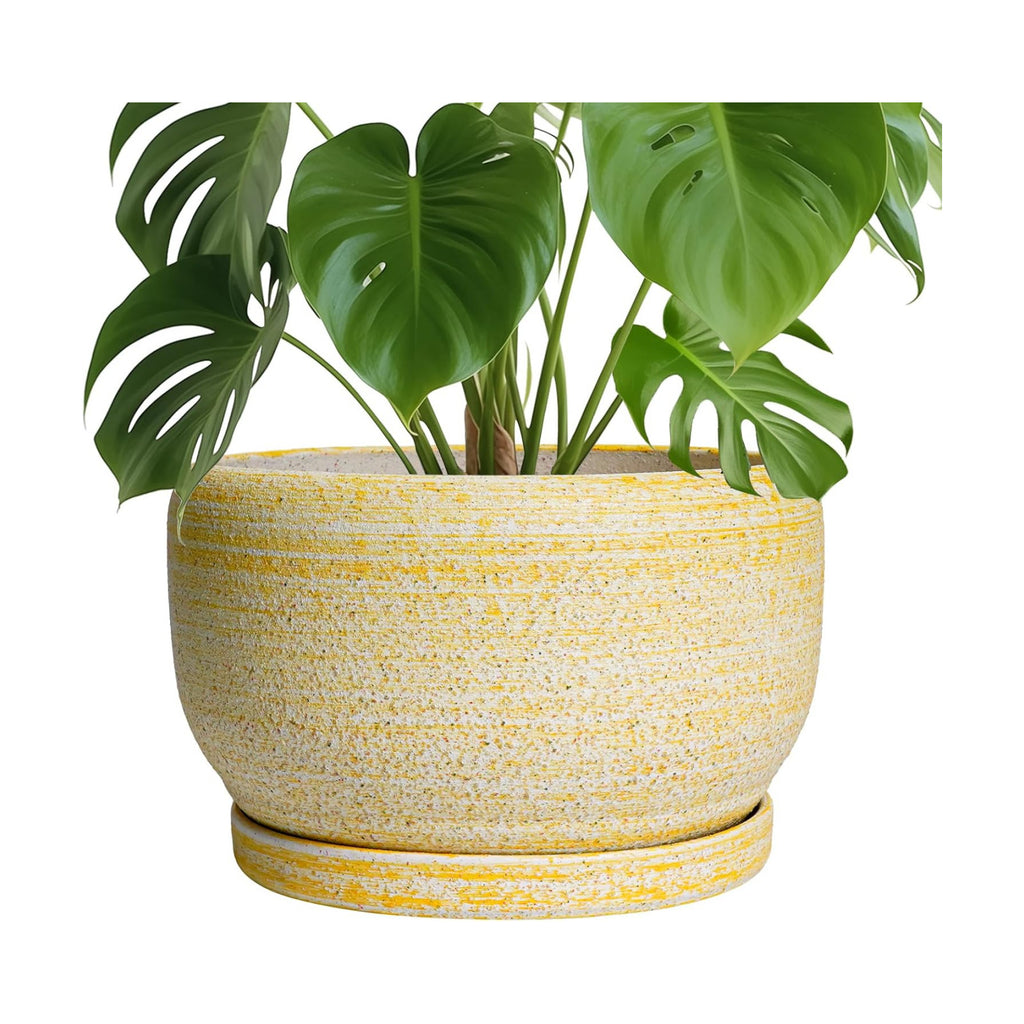SQOWL Ceramic Planters for Indoor Plants - 10 Inch Plant Pot with Drainage Hole and Saucer, Round Ceramic Flower Pot