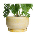 SQOWL Ceramic Planters for Indoor Plants - 10 Inch Plant Pot with Drainage Hole and Saucer, Round Ceramic Flower Pot