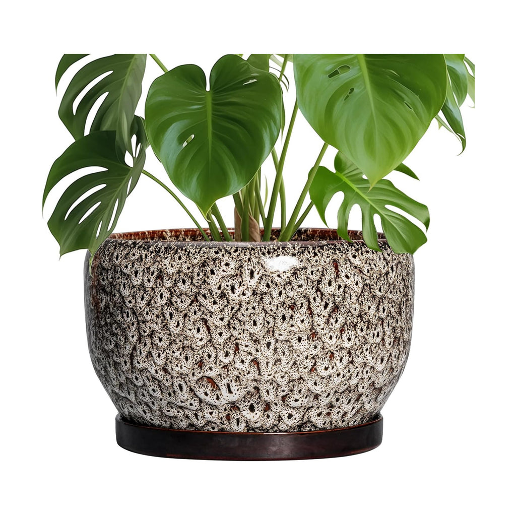 SQOWL Ceramic Plant Pots - 10 Inch Planter for Indoor Plants Outdoor, Large Flower Pots with Drainage Hole and Saucer