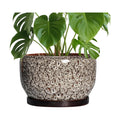 SQOWL Ceramic Plant Pots - 10 Inch Planter for Indoor Plants Outdoor, Large Flower Pots with Drainage Hole and Saucer