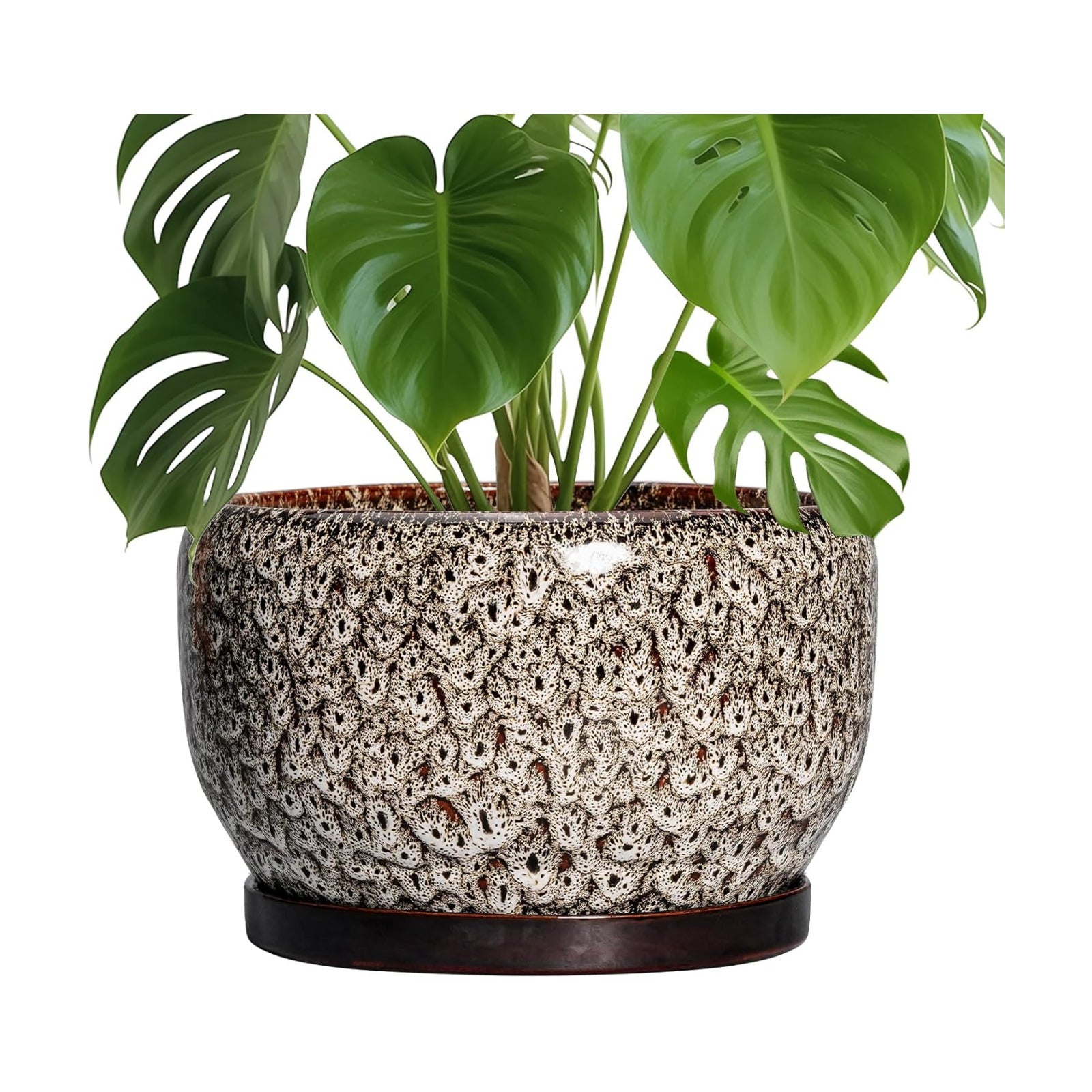 SQOWL Ceramic Plant Pots - 10 Inch Planter for Indoor Plants Outdoor, Large Flower Pots with Drainage Hole and Saucer