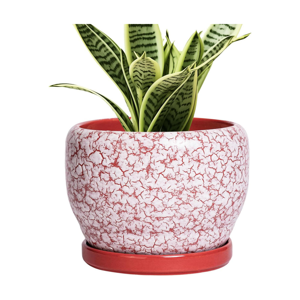 SQOWL 6 Inch Plant Pot - Ceramic Planter for Indoor Outdoor, Round Decorative Plant Pot with Drainage Hole and Saucer