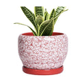 SQOWL 6 Inch Plant Pot - Ceramic Planter for Indoor Outdoor, Round Decorative Plant Pot with Drainage Hole and Saucer