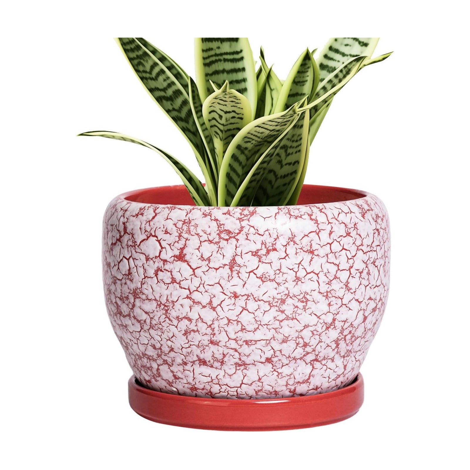 SQOWL 6 Inch Plant Pot - Ceramic Planter for Indoor Outdoor, Round Decorative Plant Pot with Drainage Hole and Saucer