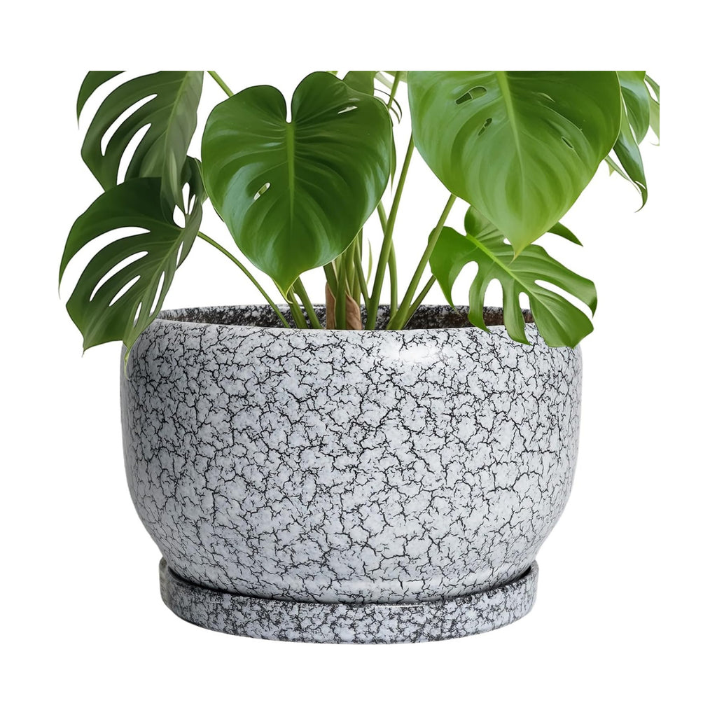 SQOWL Ceramic Planters - 10 Inch Ceramic Flower Pot with Drainage Hole and Saucer, Decorative Plant Pot Indoor, Round