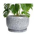 SQOWL Ceramic Planters - 10 Inch Ceramic Flower Pot with Drainage Hole and Saucer, Decorative Plant Pot Indoor, Round
