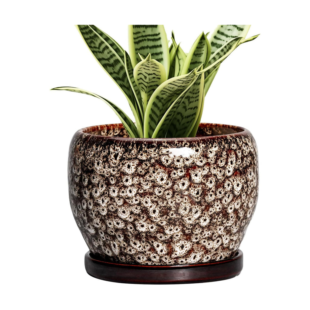 SQOWL Ceramic Plant Pots - 6 Inch Ceramic Planter for Indoor Outdoor, Small Flower Pots with Drainage Hole and Saucer