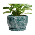 SQOWL 8 Inch Plant Pot - Ceramic Planter for Indoor Plants, Decorative Flower Pot with Drainage Hole and Saucer, Round