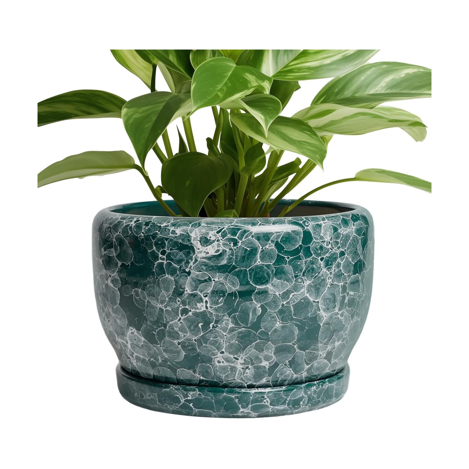 SQOWL 8 Inch Plant Pot - Ceramic Planter for Indoor Plants, Decorative Flower Pot with Drainage Hole and Saucer, Round