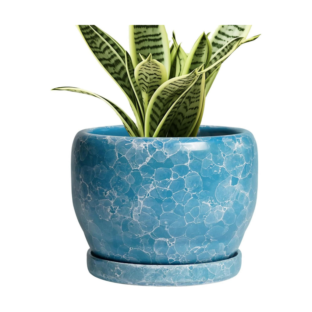 SQOWL 6 Inch Plant Pot - Ceramic Indoor Planter with Drainage Hole and Saucer, Decorative Ceramic Flower Pot Outdoor