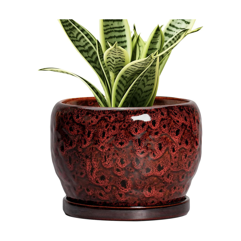 SQOWL Ceramic Pot for Plants - 6 Inch Plant Pot Indoor with Drainage Hole and Saucer, Decorative Flower Pot Outdoor