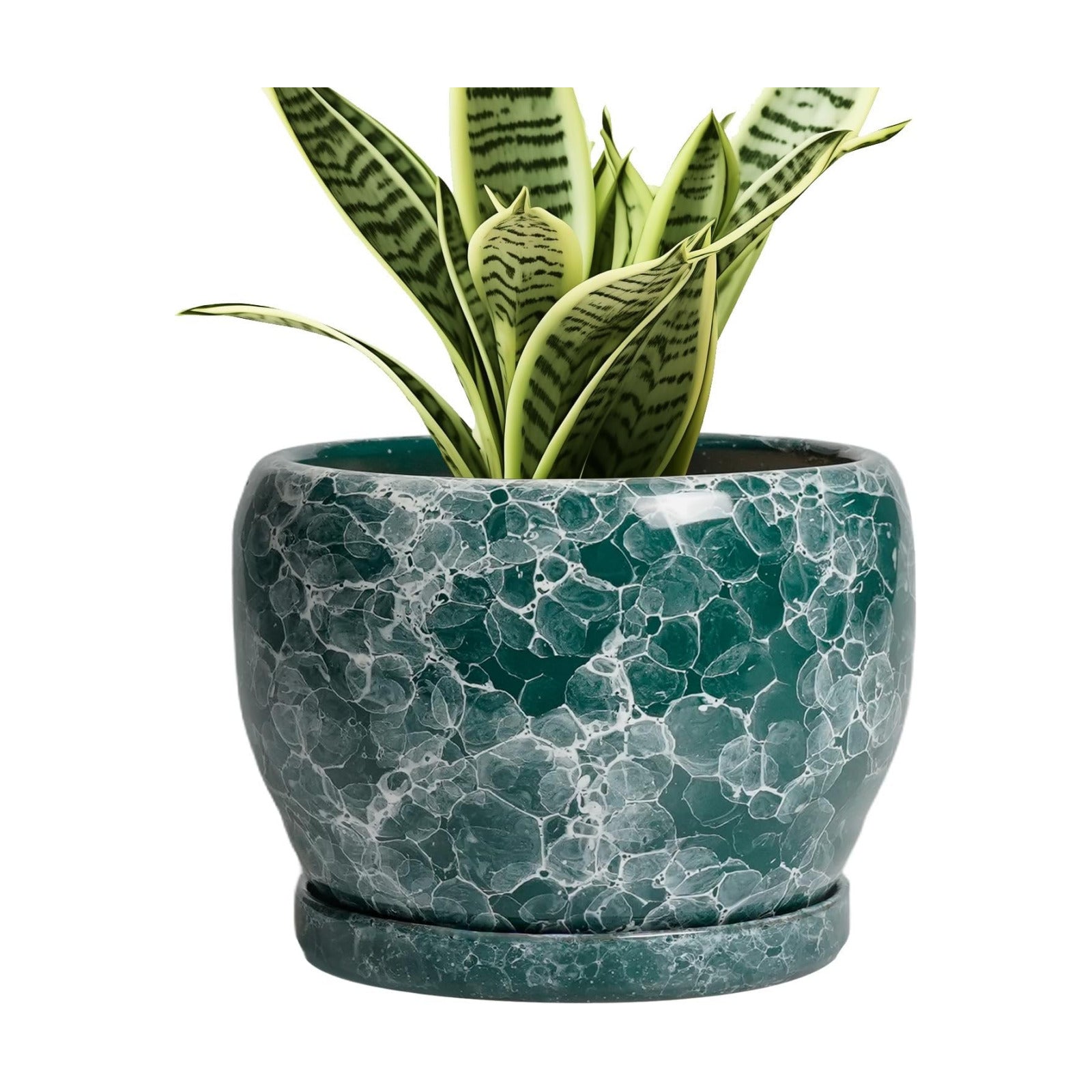SQOWL Ceramic Pot for Plants - 6 Inch Ceramic Planter with Drainage Hole and Saucer, Round Flower Pot for Indoor