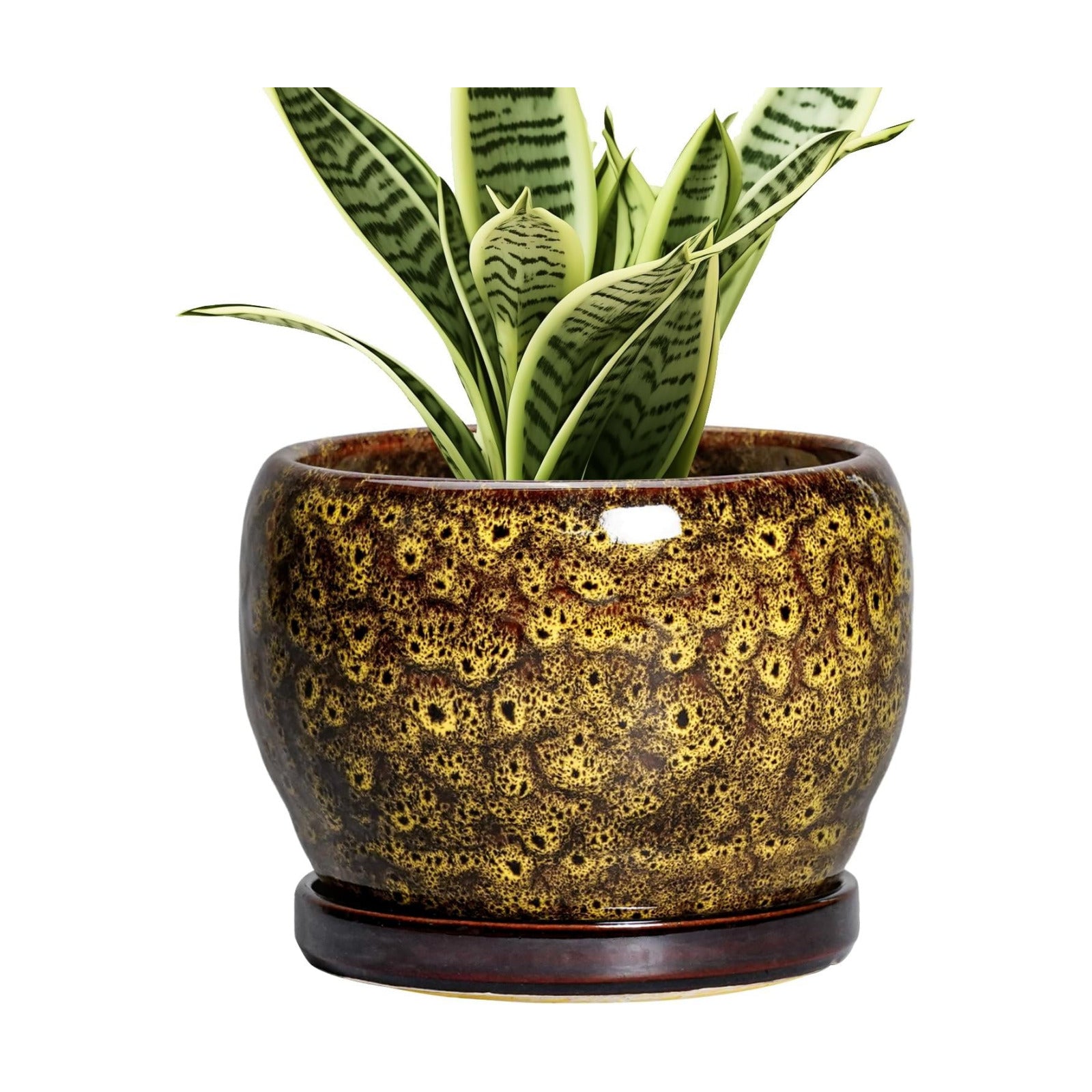 SQOWL 6 Inch Plant Pot - Ceramic Flower Pots with Drainage Hole and Saucer, Ceramic Planter for Indoor Plants Outdoor