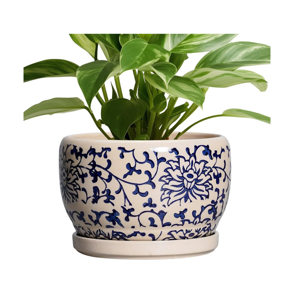 SQOWL Ceramic Planters for Indoor Plants - 8 inch Plant Pot with Drainage Hole and Saucer, Decorative Flower Pot
