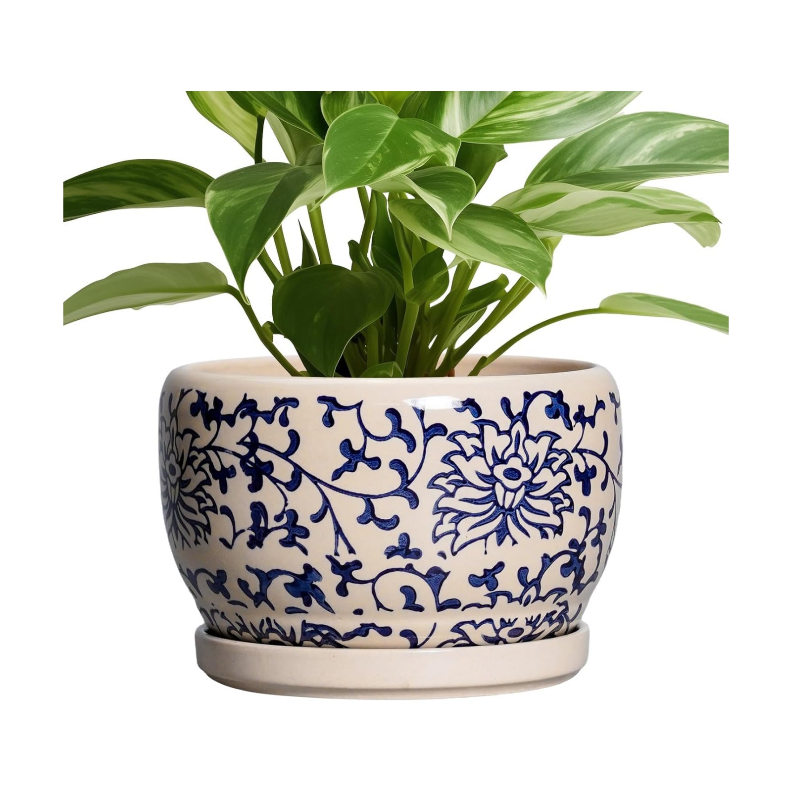 SQOWL Ceramic Planters for Indoor Plants - 8 inch Plant Pot with Drainage Hole and Saucer, Decorative Flower Pot
