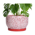 SQOWL Ceramic Planters for Indoor Plants - 10 Inch Flower Pots with Drainage Hole and Saucer, Decorative Ceramic Plant