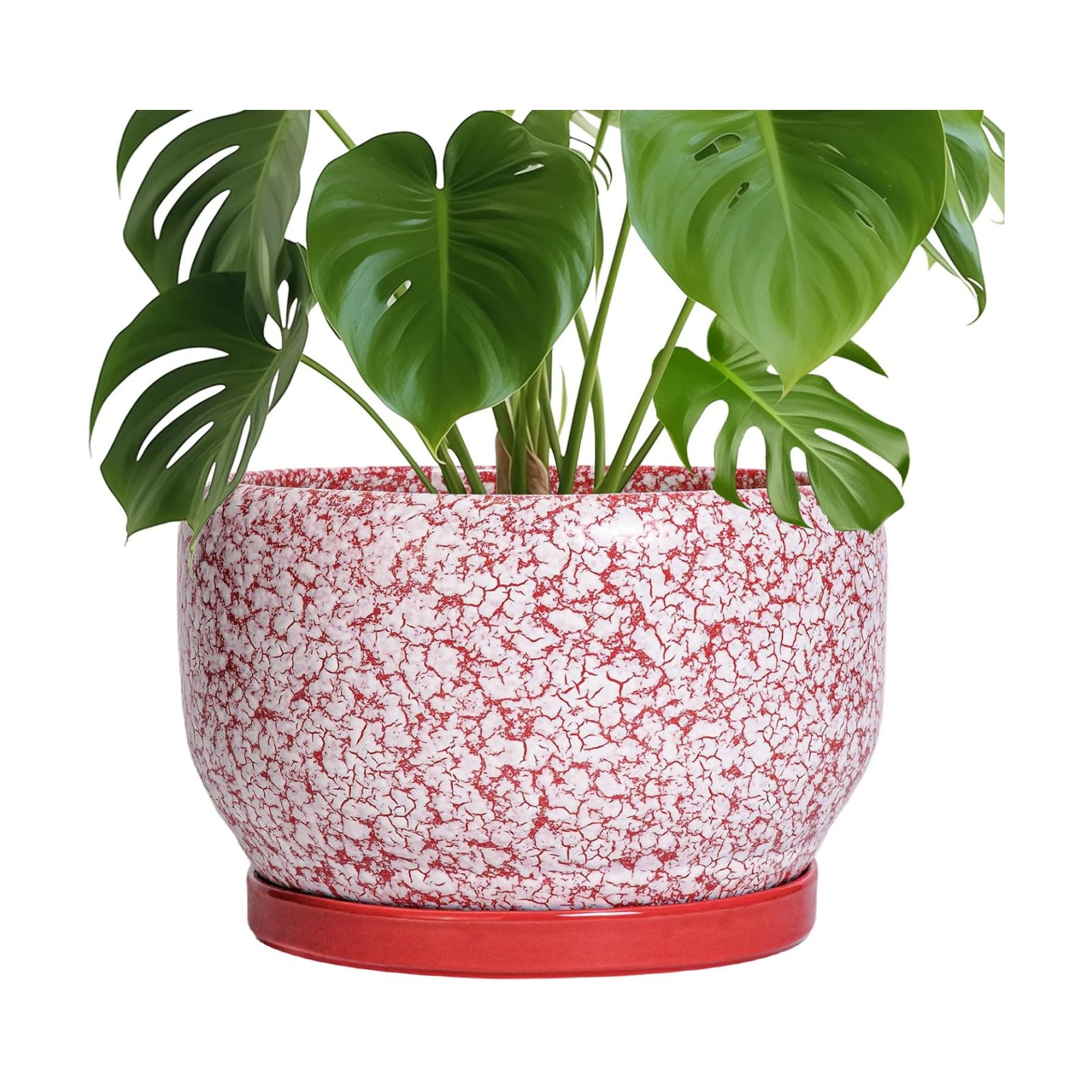 SQOWL Ceramic Planters for Indoor Plants - 10 Inch Flower Pots with Drainage Hole and Saucer, Decorative Ceramic Plant