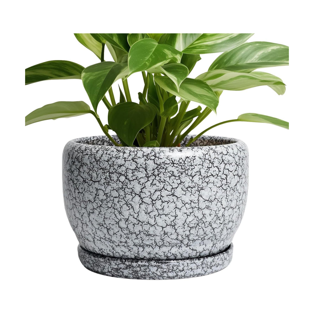 SQOWL 8 inch Plant Pot - Ceramic Planter with Drainage Hole and Saucer, Round Flower Pot for Indoor Plants, Decorative