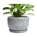 SQOWL 8 inch Plant Pot - Ceramic Planter with Drainage Hole and Saucer, Round Flower Pot for Indoor Plants, Decorative