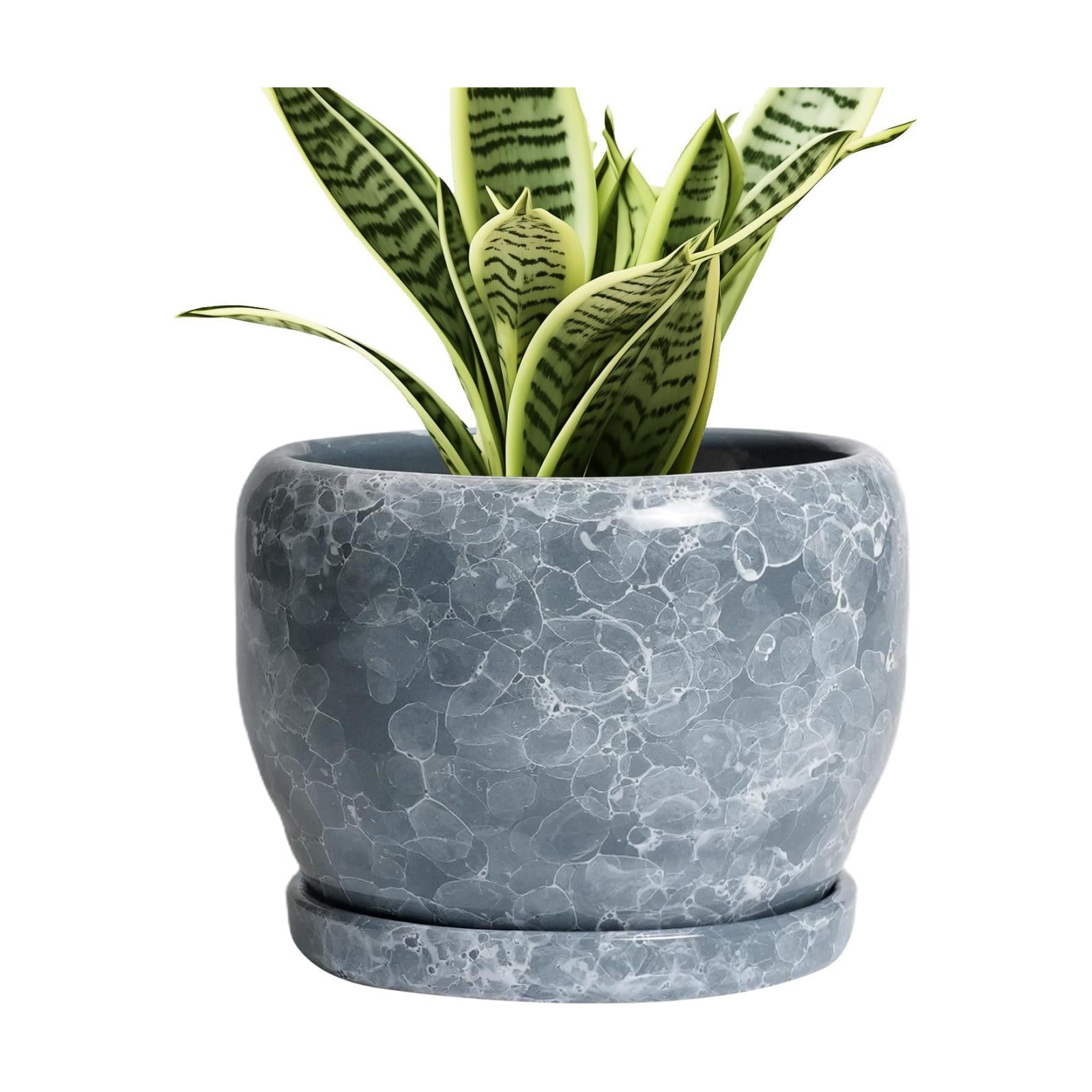SQOWL 6 Inch Plant pots Indoor - Ceramic Planter with Drainage Hole and Saucer, Ceramic Flower Pot Outdoor, Decorative