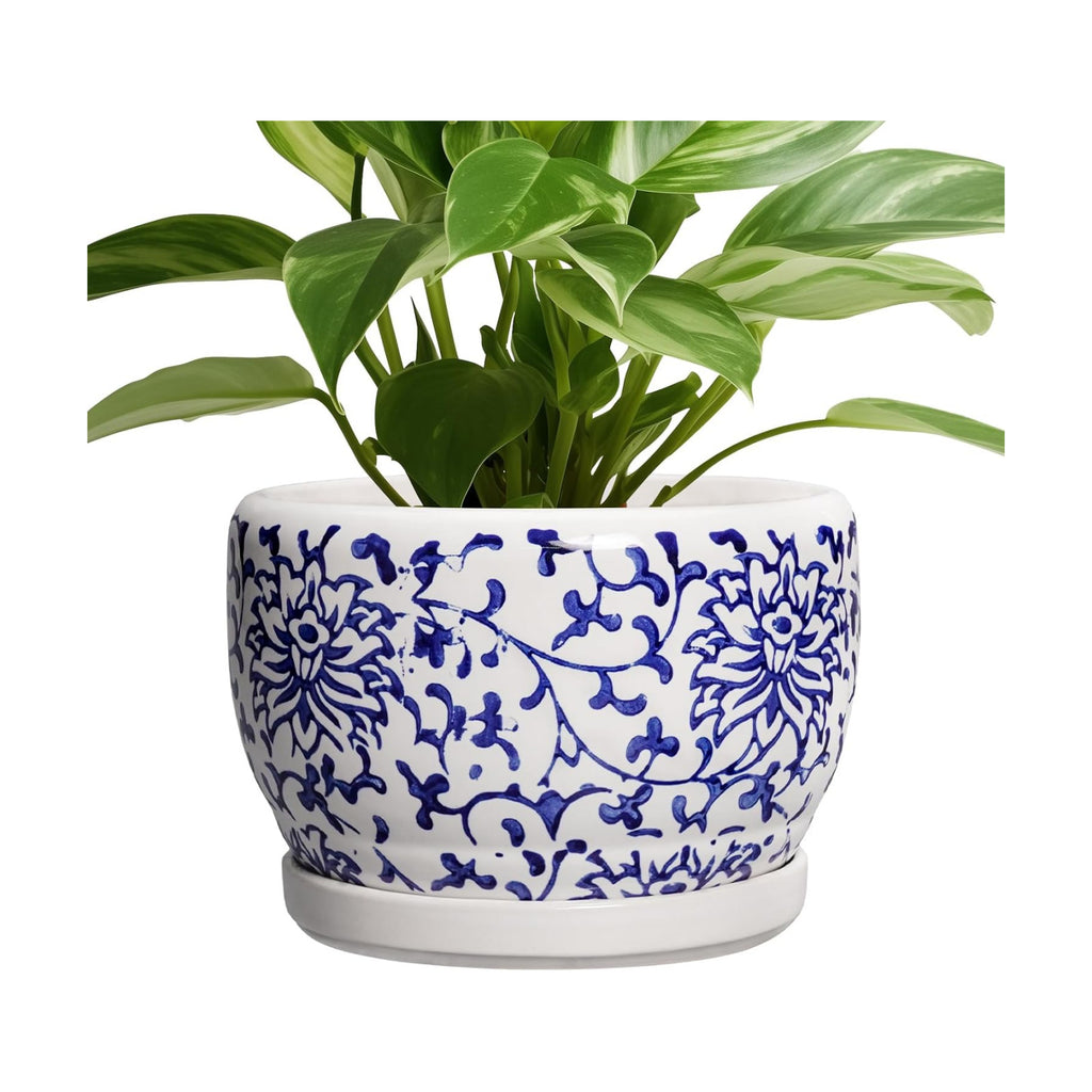 SQOWL Ceramic Pots for Plants - 8 inch Ceramic Planter with Drainage Hole and Saucer, Round Flower Pots for Indoor
