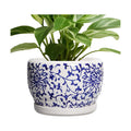 SQOWL Ceramic Pots for Plants - 8 inch Ceramic Planter with Drainage Hole and Saucer, Round Flower Pots for Indoor