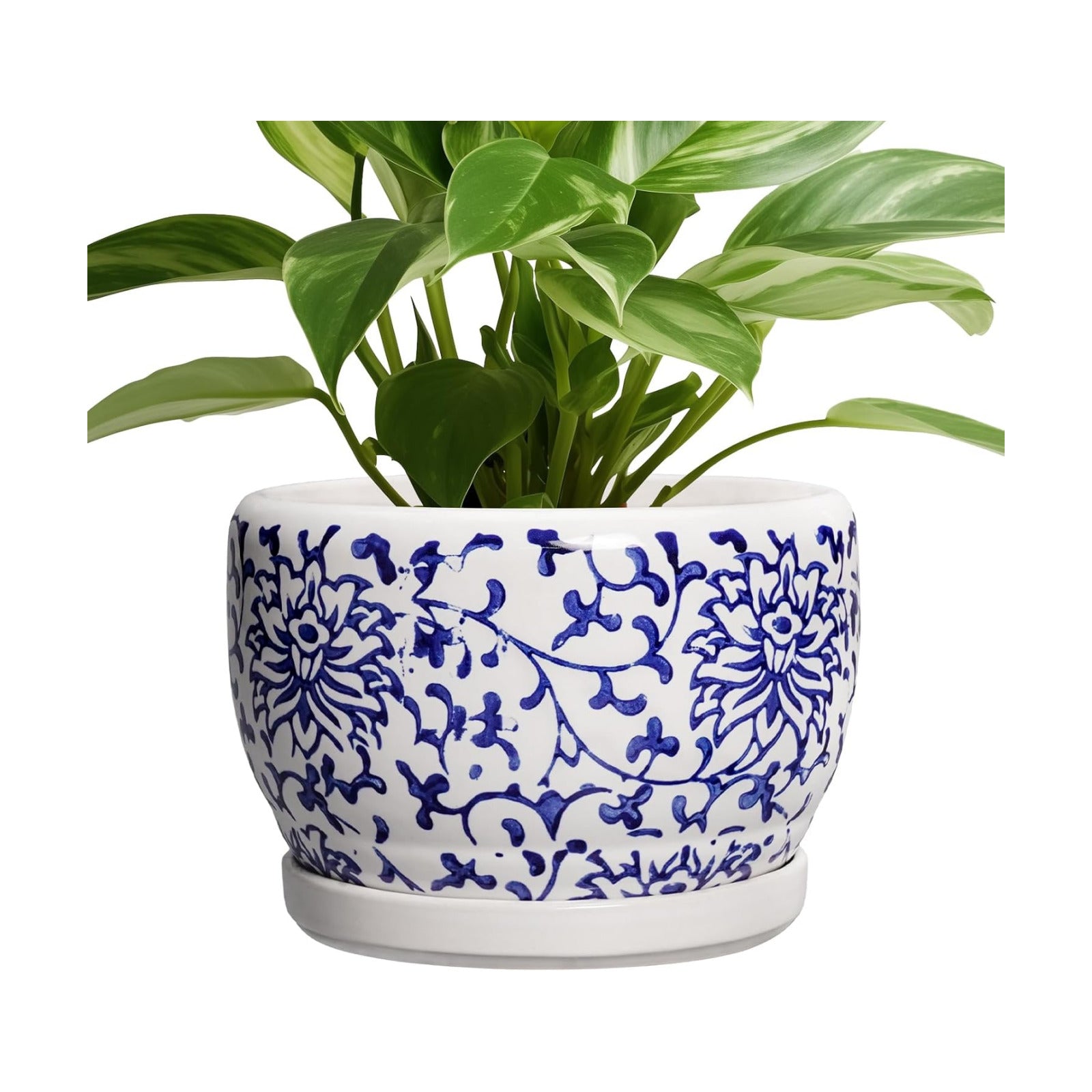 SQOWL Ceramic Pots for Plants - 8 inch Ceramic Planter with Drainage Hole and Saucer, Round Flower Pots for Indoor