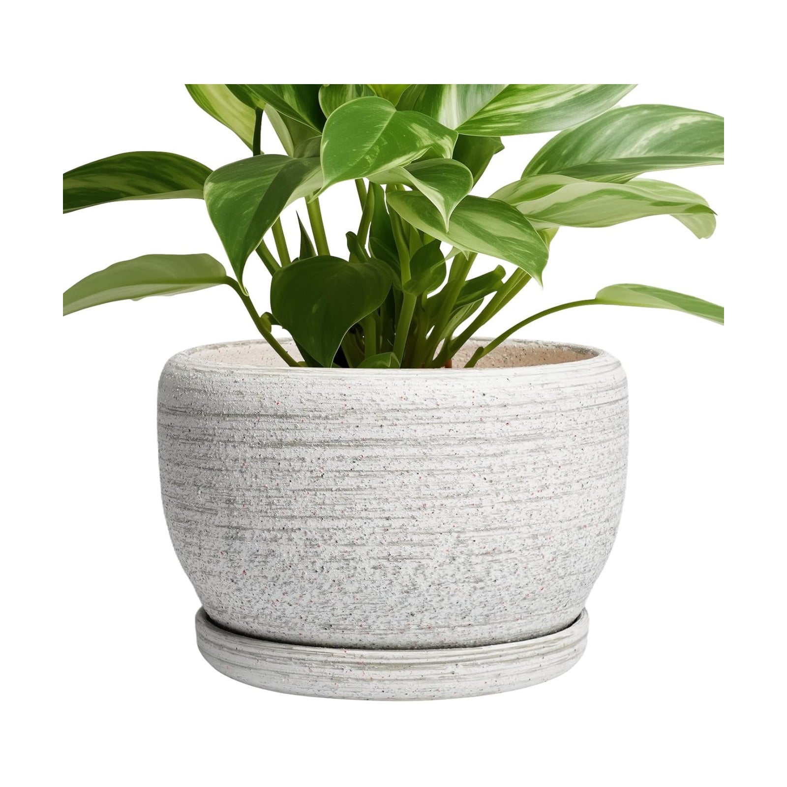SQOWL Ceramic Plant Pots - 8 inch Planter for Indoor Plants, Round Flower Pot with Drainage Hole and Plant Saucer
