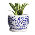 SQOWL 6 Inch Planter - Ceramic Plant Pots Indoor with Drainage Hole and Saucer, Round Ceramic Flower Pot Outdoor