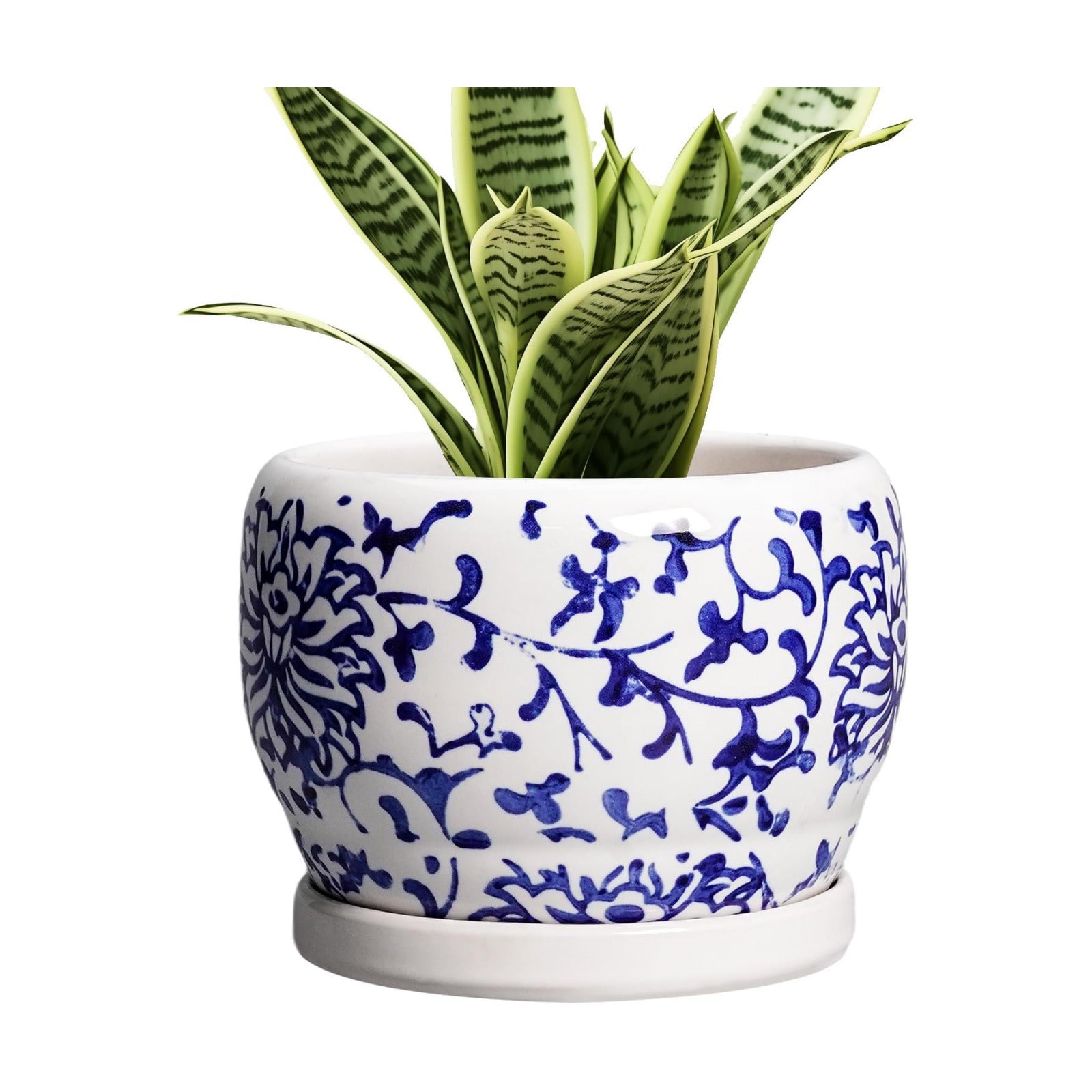 SQOWL 6 Inch Planter - Ceramic Plant Pots Indoor with Drainage Hole and Saucer, Round Ceramic Flower Pot Outdoor